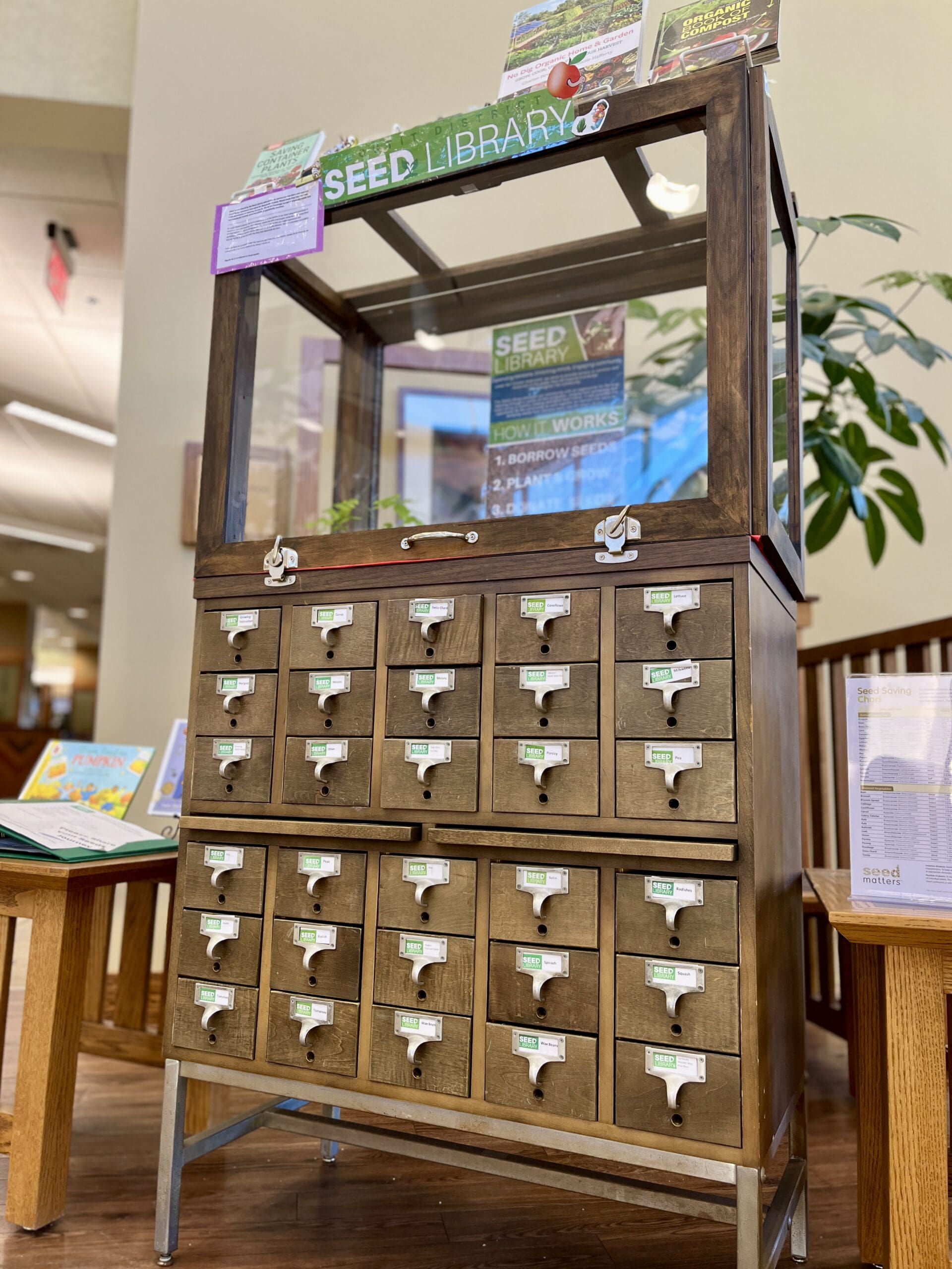 seed library photo of wooden case containing drawers of seed packets and small, growing plants behind a glass