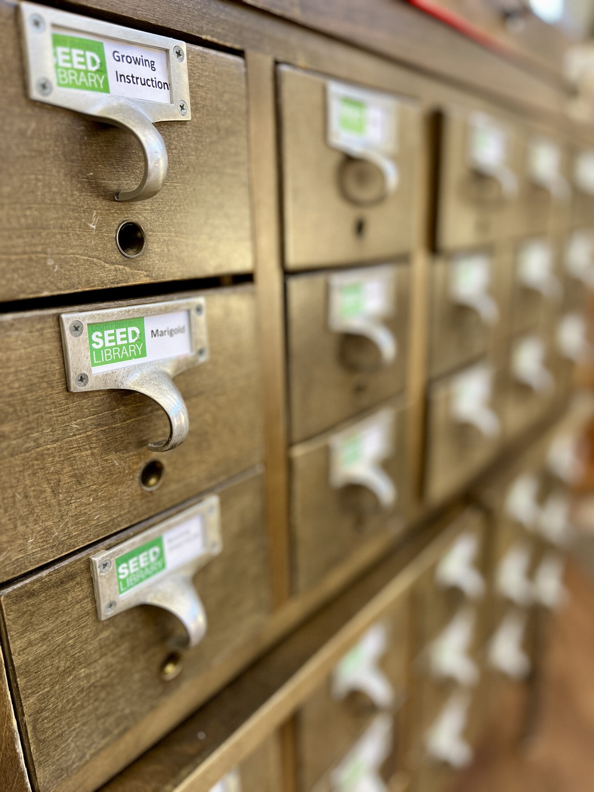 seed library drawers Photo of wooden drawers containing seed packets