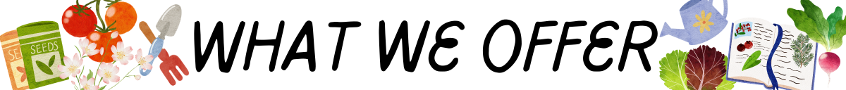 what we offer How it Works